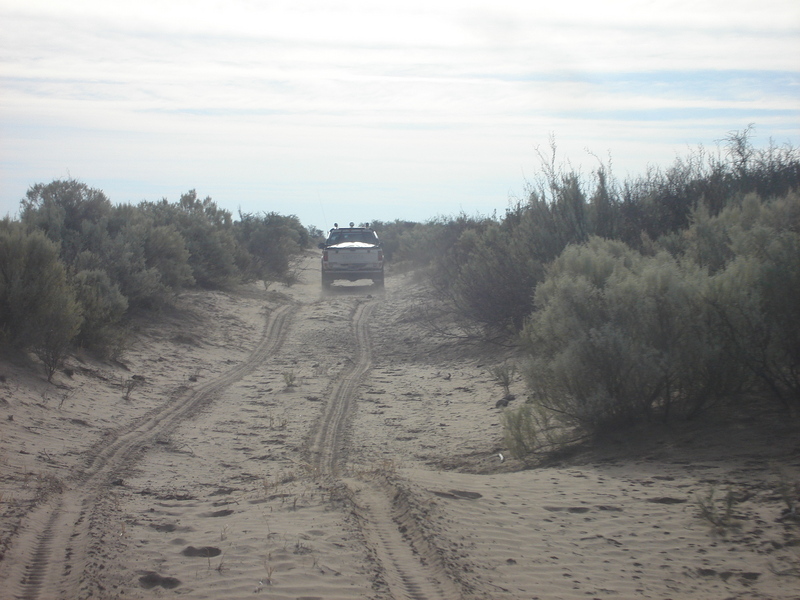 Típicas huellas de la zona - Typical paths in the area 