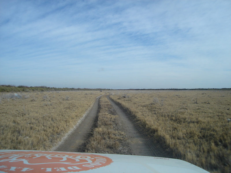 Mas típicas huellas de la zona - Other typical paths in the area  