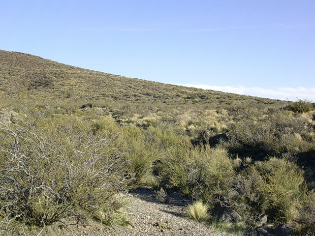 Vista hacia el sur - View to the south