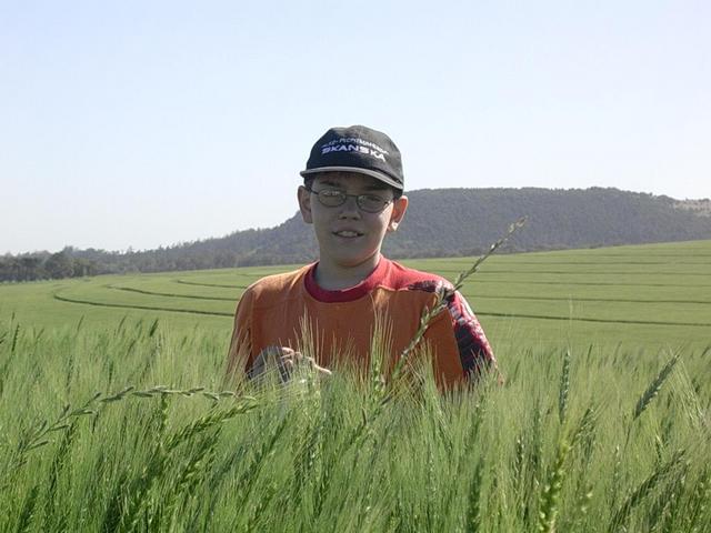 Cazador novato en un trigal de la zona - New hunter in a near wheat field