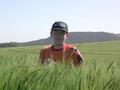 #6: Cazador novato en un trigal de la zona - New hunter in a near wheat field