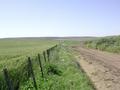 #8: Alrededores de la confluencia - Surroundings of the confluence