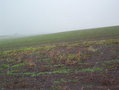 #2: Vista Norte / North view