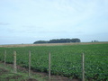 #5: Vista hacia el sur - View to the south