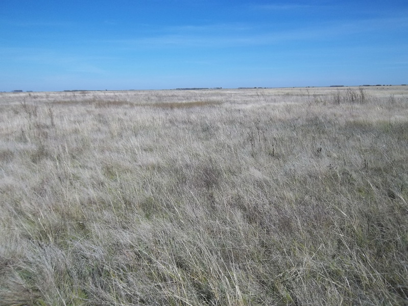 South View from the Confluence