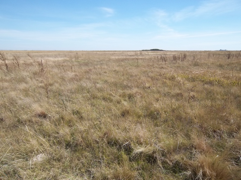 West View from the Confluence