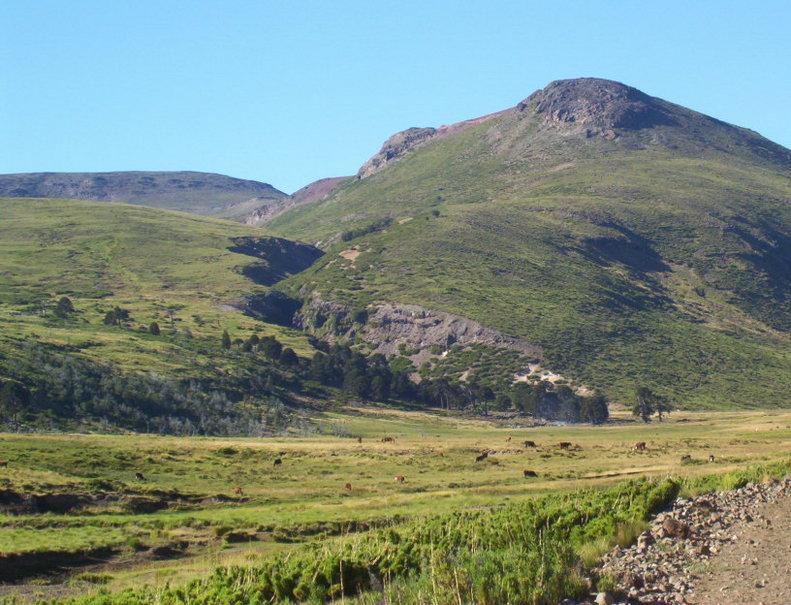 Cajón Los Barros hacia el SudEste, en la ladera del cerro mayor se halla la confluencia. SE Los Barros Cannon. CP located on the higher hill.