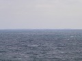 #3: Northeast view