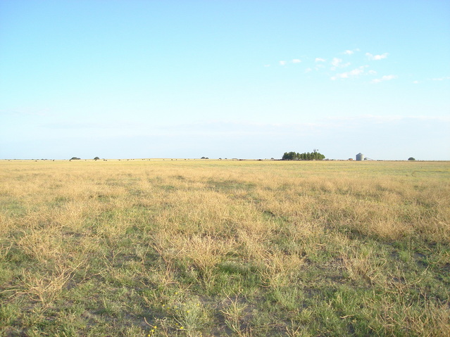 Vista hacia el Sur - View to the south