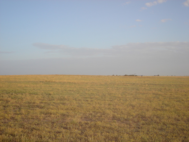 Vista desde el camino a 600 metros al norte de la confluencia- View from the path, 600 meters to the north of the confluence