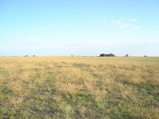 #1: Vista hacia el Sur - View to the south