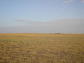 #6: Vista desde el camino a 600 metros al norte de la confluencia- View from the path, 600 meters to the north of the confluence