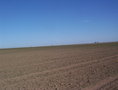 #2: Vista Oeste