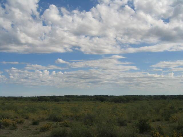 View to the South (River Colorado valley)