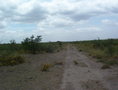 #2: East View