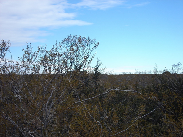 Vista hacia el Sur - View to the South