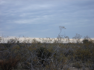 #1: Vista hacia el Norte - View to the North