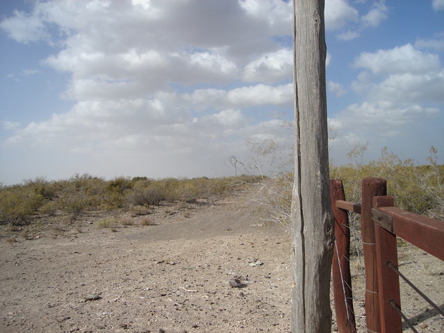 Al final de esa picada estaba la confluencia - The confluence was at the end of this path