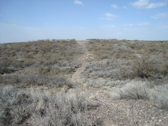 Typical paths in the area