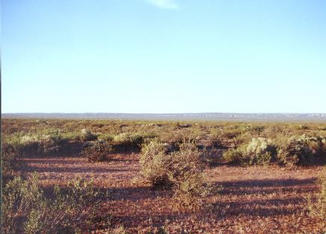 #1: View from the confluence point