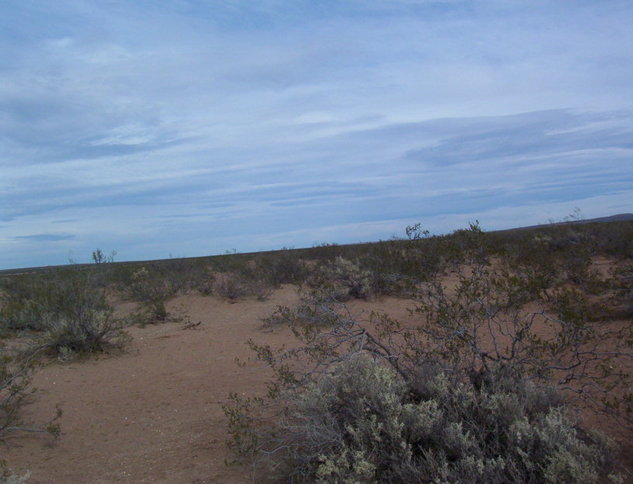 South view