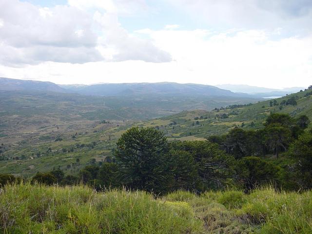 west view from confluence