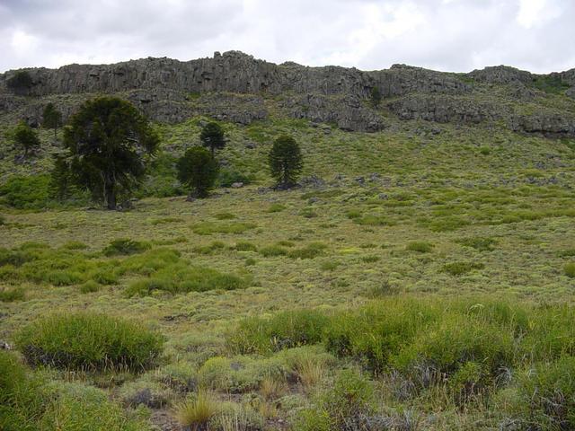 east view from confluence