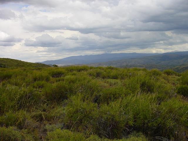 south view from confluence