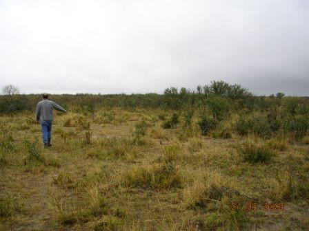 Walking to the confluence