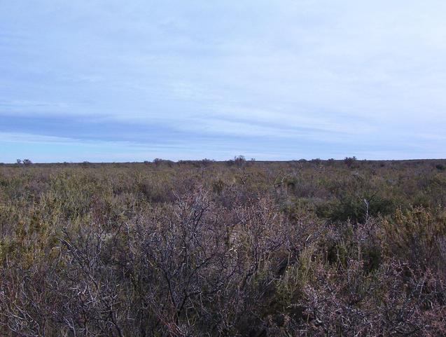 panoramica