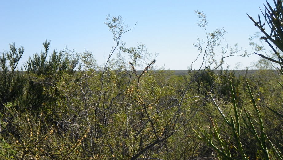 Vista al norte - View to the north