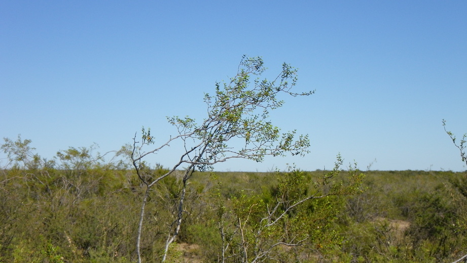 Vista al oeste - View to the west