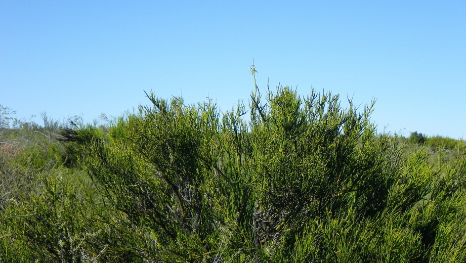 Vista al sur - View to the south