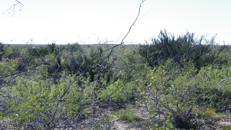 Vista al este - View to the east