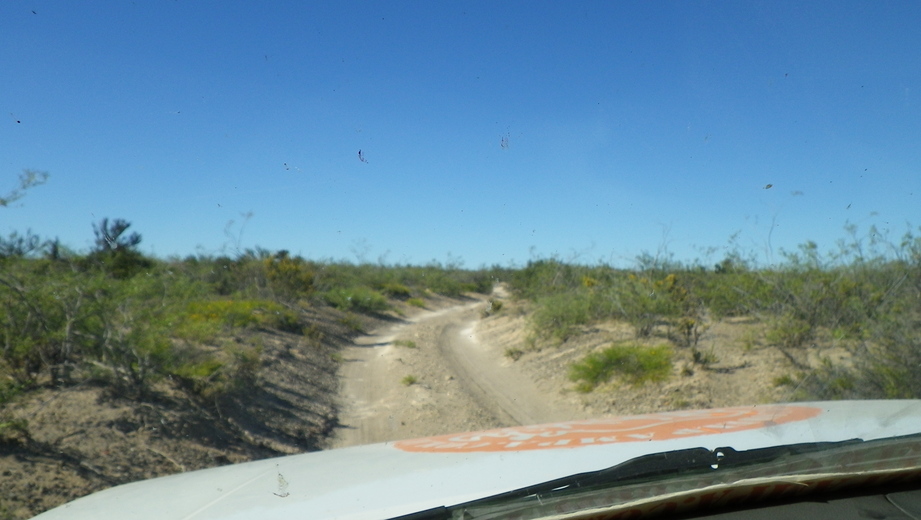 Huellas de la zona - Paths of the area