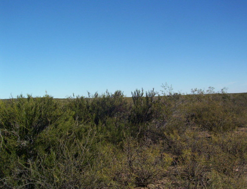 Vista Oeste. West view