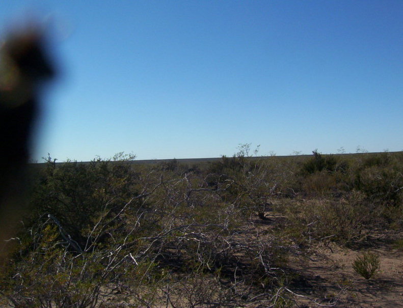 Vista Este. East view