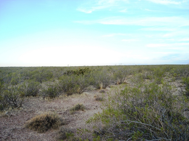 Vista hacia el Este  - View to the East