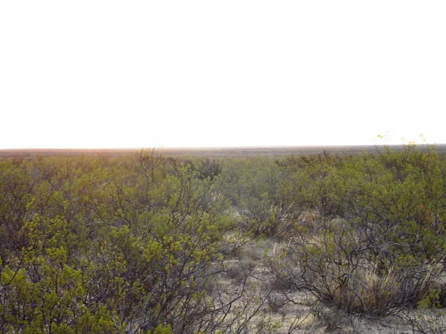 Vista hacia el Oeste - View to the West