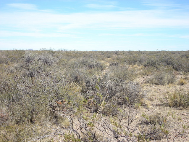 Vista hacia el Sur - View to the South