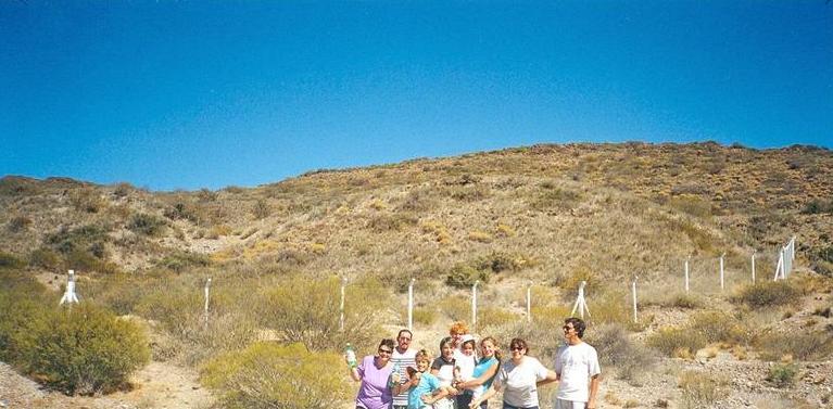 Las 2 familias. Arriba a la izquierda se encuentra el punto.