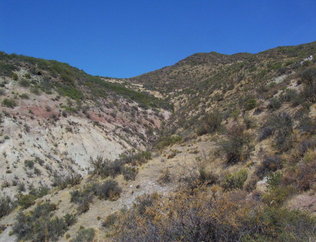 #1: General View