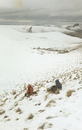 #6: Hernán y Claudia. La confluencia está en lomita nevada hacia derecha.