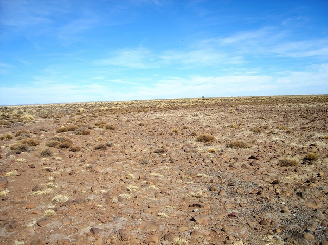 Vista general a 4 km de la confluencia- General overview to 4 km of the confluence