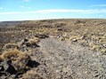 #2: Subiendo a la meseta de Somuncurá - Going up to Somuncurá Plateau