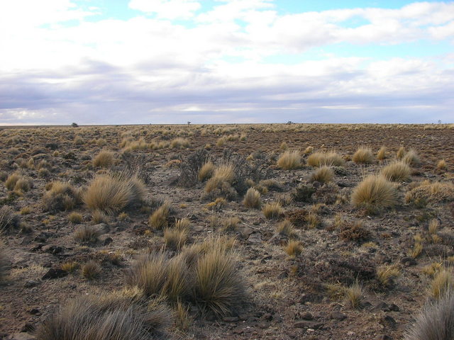 Vista Norte. Vista de la inmensa meseta.