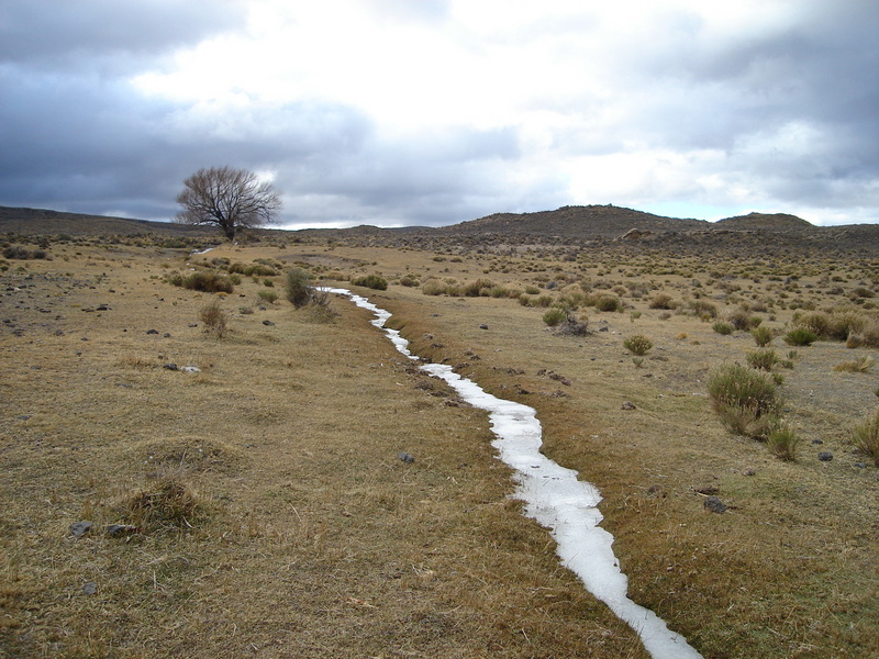 Paisaje congelado - Frozen landscape