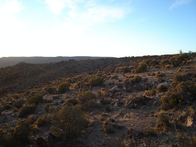 Vista General del area  General overview of the area