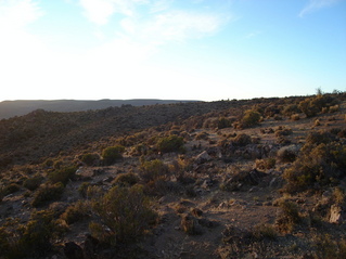 #1: Vista General del area  General overview of the area