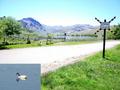 #3: Railway crossing at Perito Moreno, with Los Juncos Lagoon in the background; inset: black-necked swan on Los Juncos Lagoon